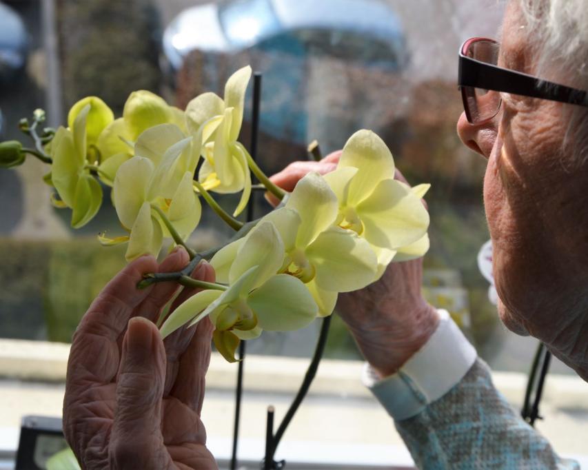 mevrouw Veldsink met orchidee