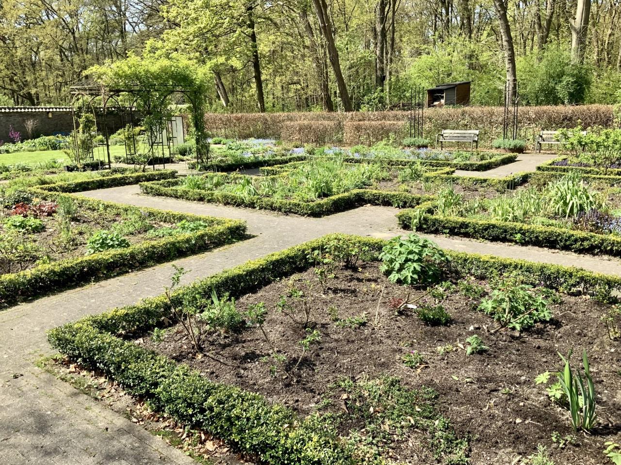Rosarium in de moestuin