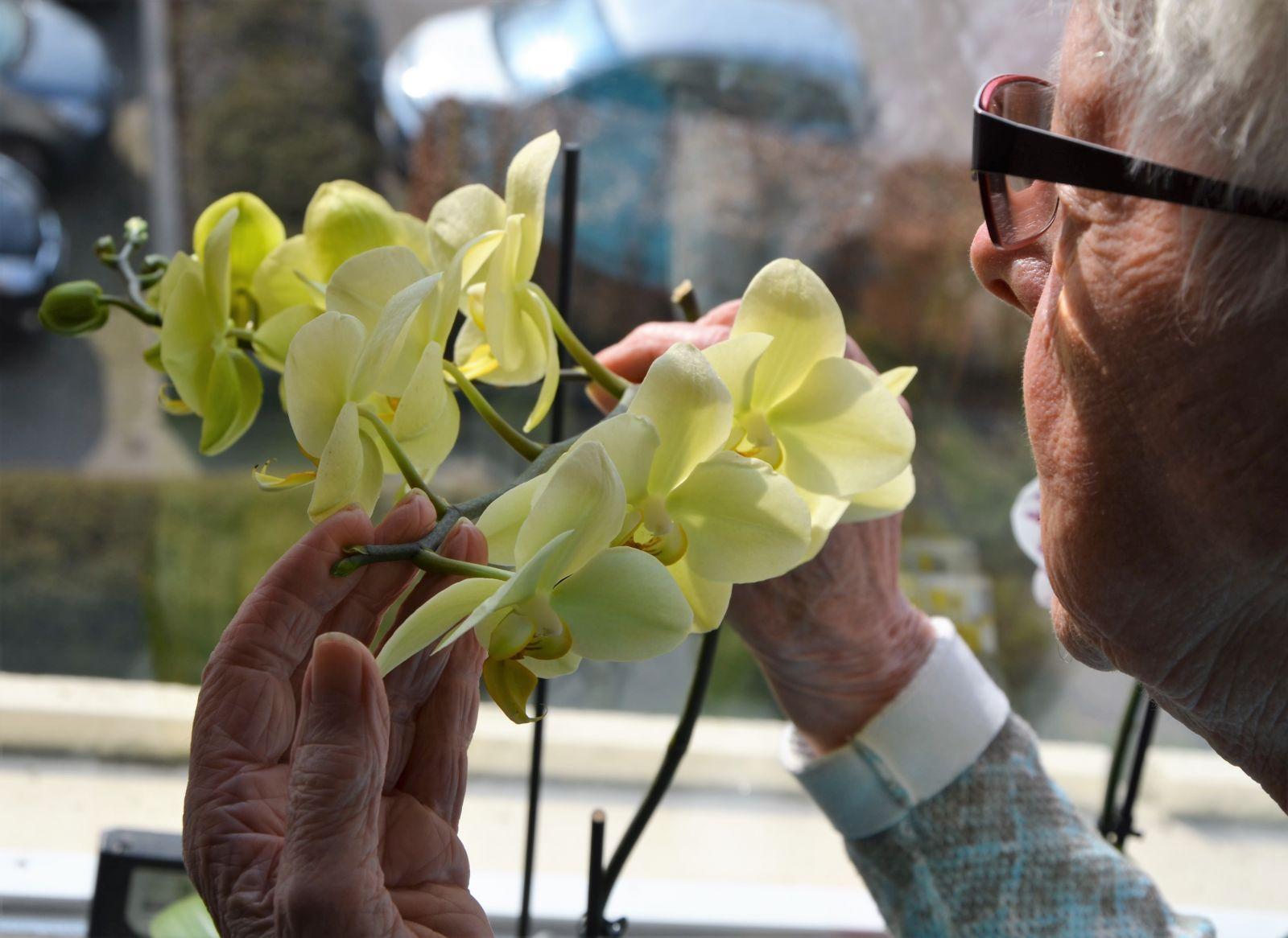 mevrouw Veldsink met orchidee