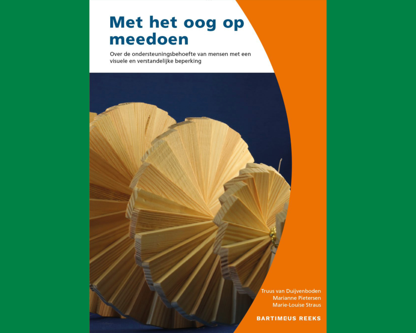 Omslag van het boek Met het oog op meedoen