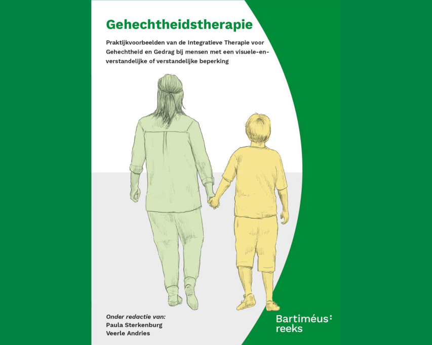 Omslag van het boek Gehechtheidstherapie