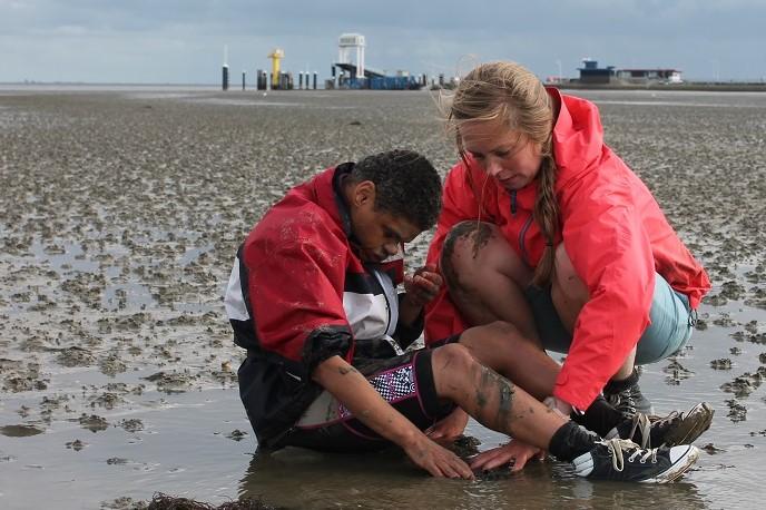 begeleider en client zoeken schelpen op het strand
