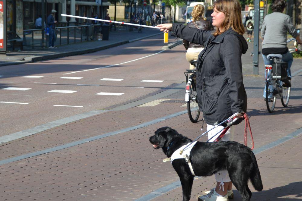 Oversteken met taststok en blindengeleidehond