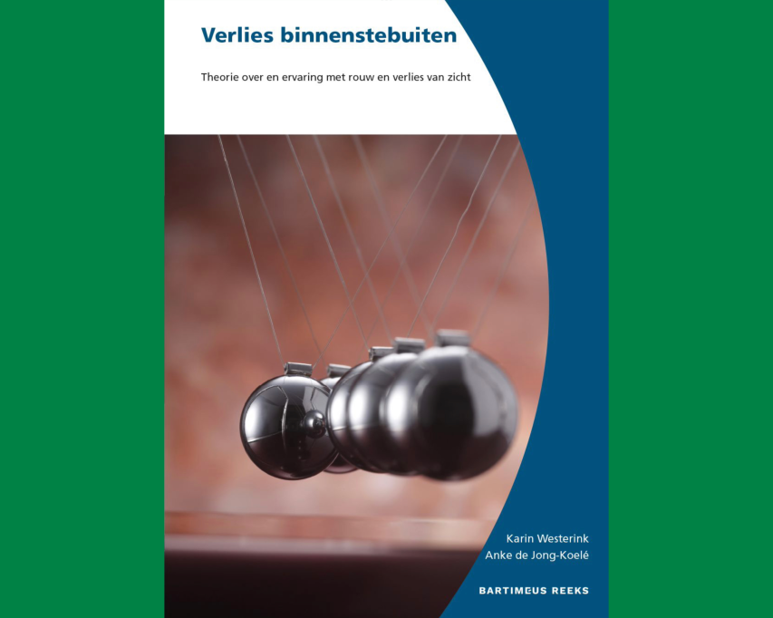 Omslag van het boek Verlies binnenste buiten