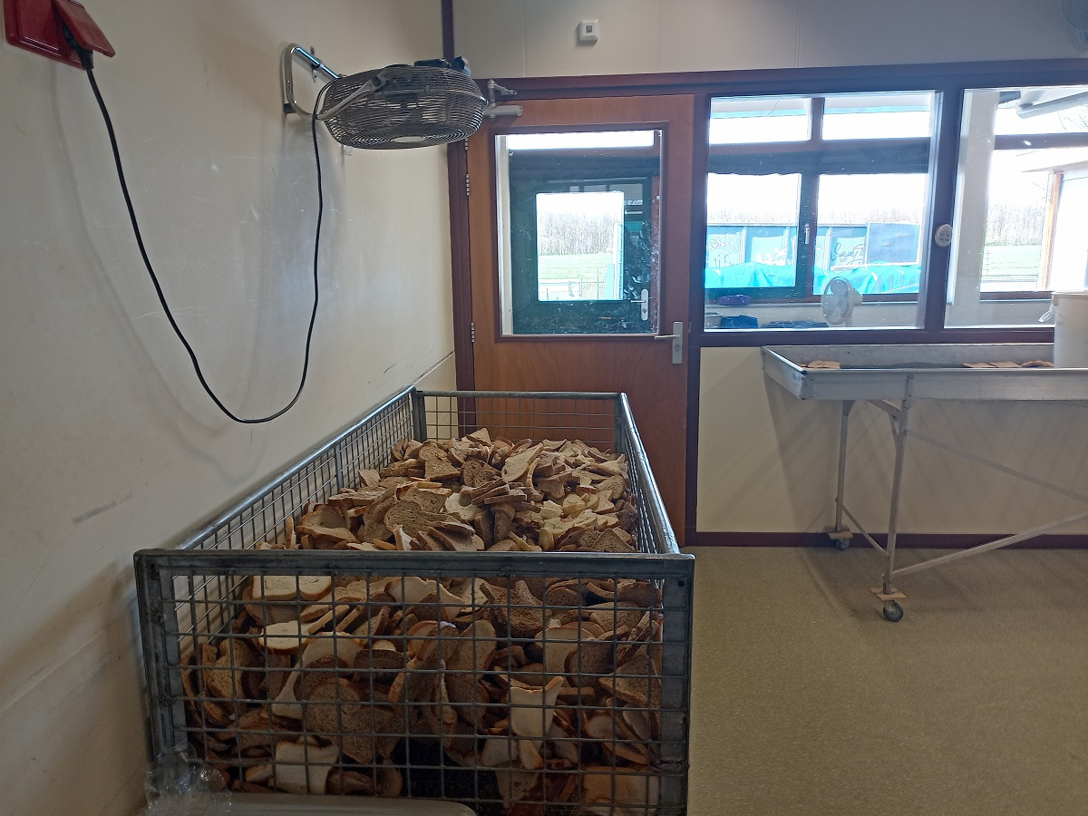 Een bak met oud brood in Langbroek. Boven de bak hangt een ventilator. Hiermee wordt het brood gedroogd.