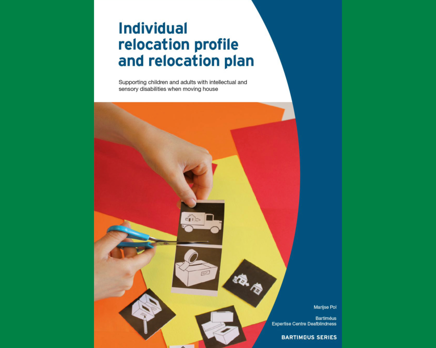 Cover of the book Individual relocation profile and relocation plan