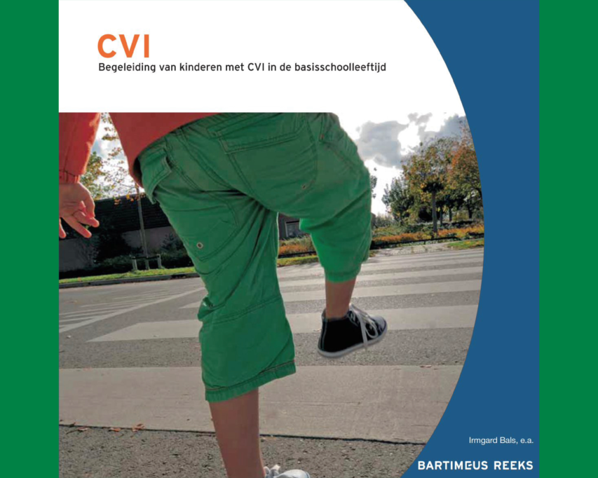 Omslag van het boek CVI -  Begeleiding van kinderen met CVI in de basisschoolleeftijd