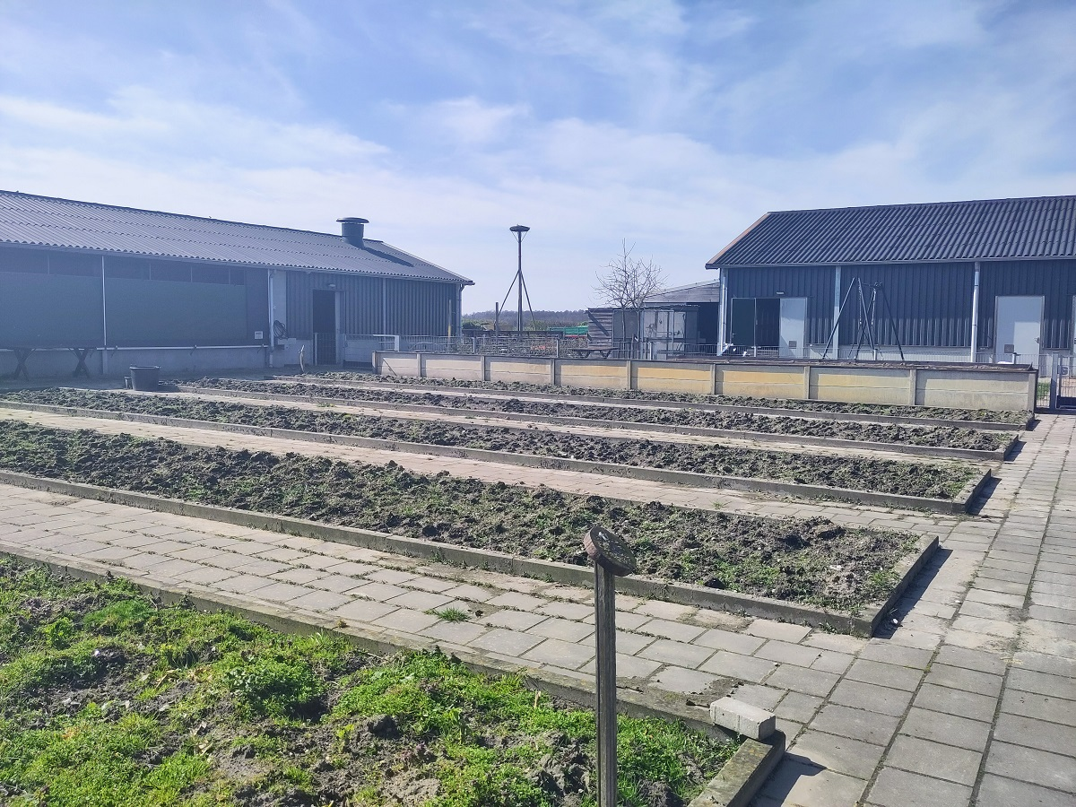 De moestuin in Langbroek ziet er nu nog een beetje kaal uit. De grond is net ingezaaid.