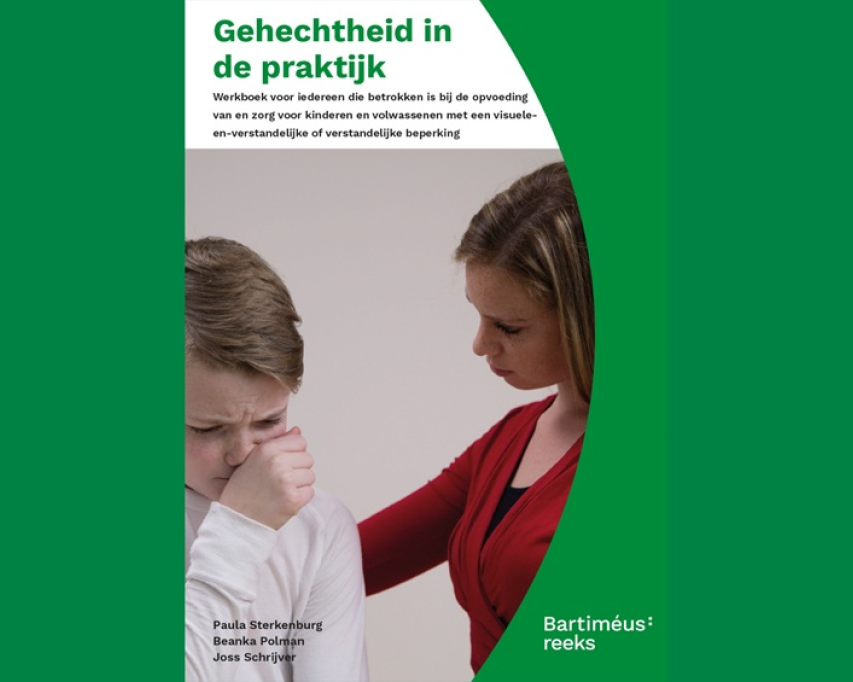 Omslag van het boek Gehechtheid in de praktijk